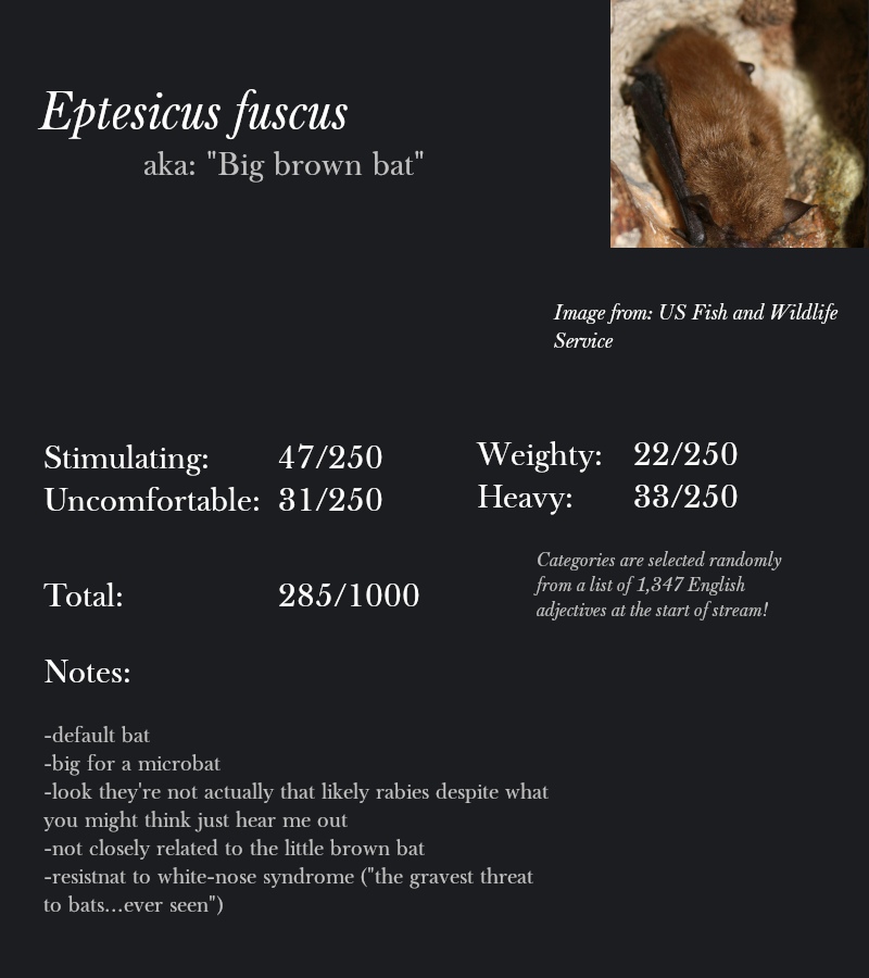 Eptesicus fuscus